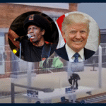 Donald Trump has filed a motion to dismiss in a copyright infringement lawsuit filed by Musician Eddy Grant, claiming that the use of "Electric Avenue" in a campaign ad qualifies as fair use.