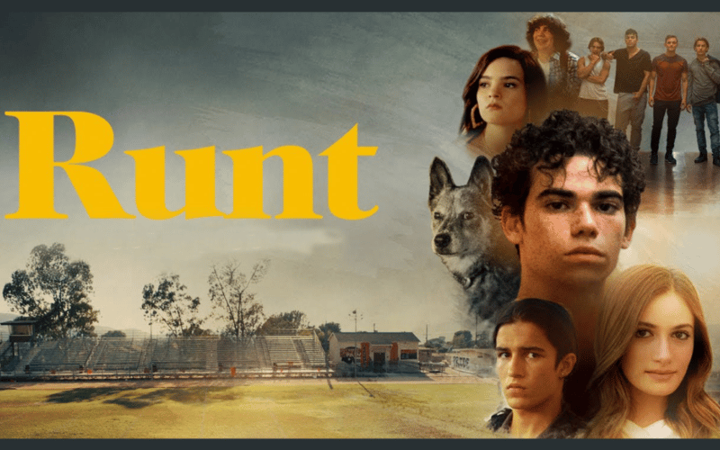 The copyright owner in Runt is seeking to enjoin director William Coakley from releasing a behind-the-scenes project about alleged on-set bullying and sexual harassment that it claims he fabricated.
